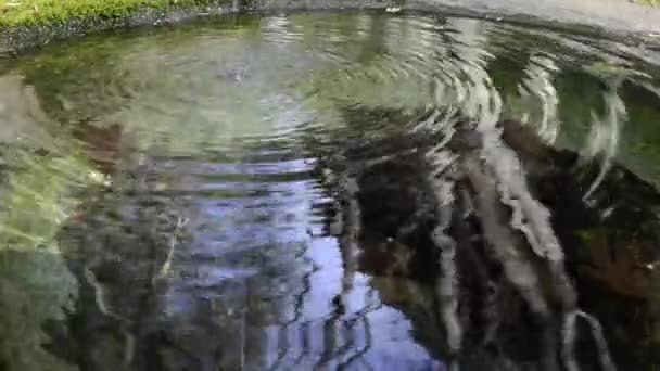 zahradní fontána smyčka - Záběry, video