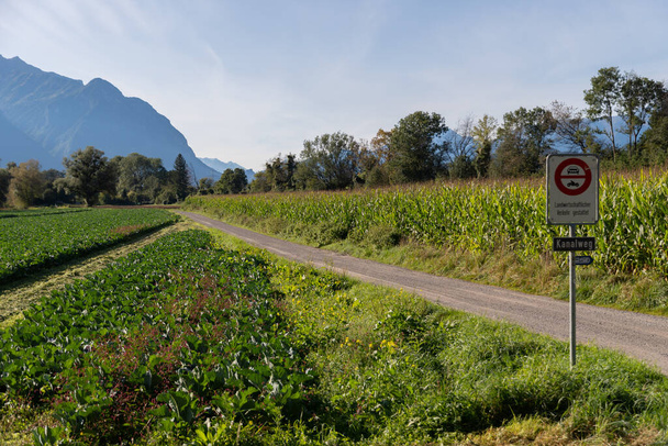 Schaan, Lichtenštejnsko, 25. září 2021 Zelené plantáže na orné půdě před Alpami - Fotografie, Obrázek