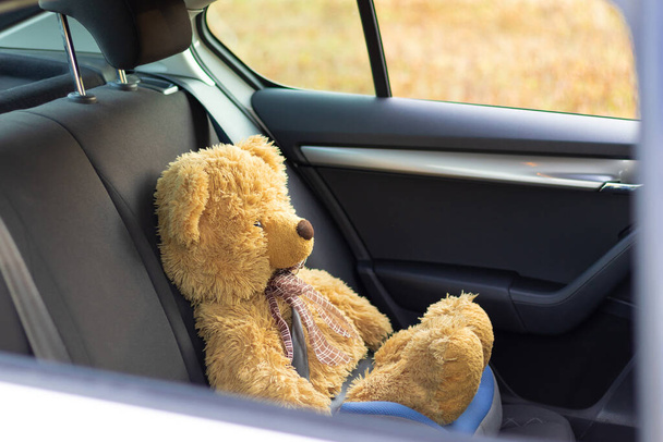 Güneşli bir sonbahar gününde arabanın içinde emniyet kemeri takan oyuncak bir ayı. Seçici odaklanma. Portre - Fotoğraf, Görsel