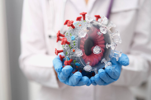 Лікар тримає глузування з коронавірусу, крупним планом
 - Фото, зображення
