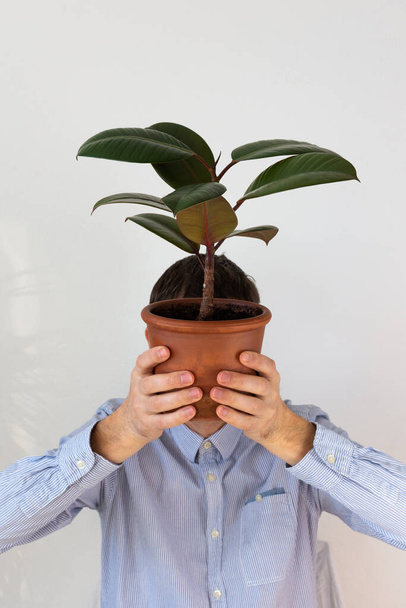 A man holds in front of him an indoor flower Ficus, the plant covers his face, human depersonalization trend - Photo, image
