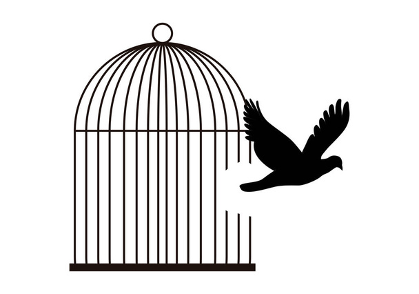 silhouette piccione in fuga da una gabbia. - Vettoriali, immagini