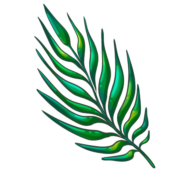 Tropical fern branch on a white background - Фото, зображення