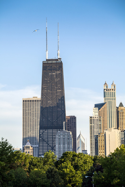 Chicago skyline, Illinois, USA - Photo, Image