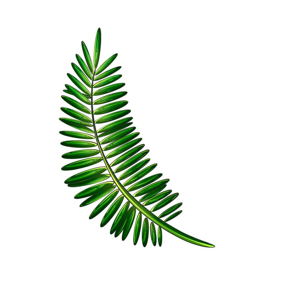 Tropical green fern on a white background - Fotoğraf, Görsel