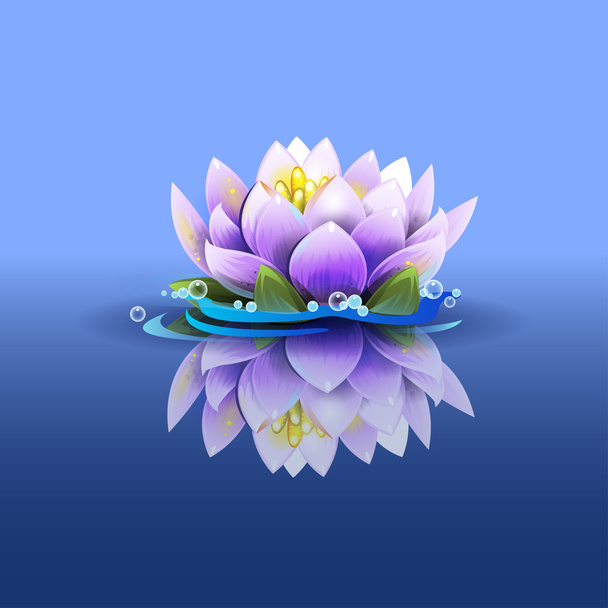 Water lilly - Vector, Image