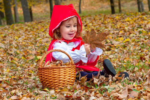 Roodkapje in het bos met haar rieten mandje speelt - Foto, afbeelding