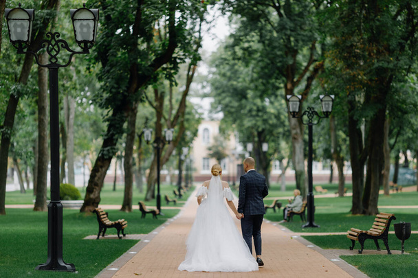 Los recién casados caminan por el callejón de los árboles en el parque. Día de la boda en verano. - Foto, Imagen