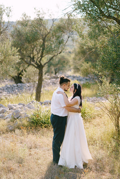 Sulhasen halaukset morsian oliivipuiden puutarhassa - Valokuva, kuva