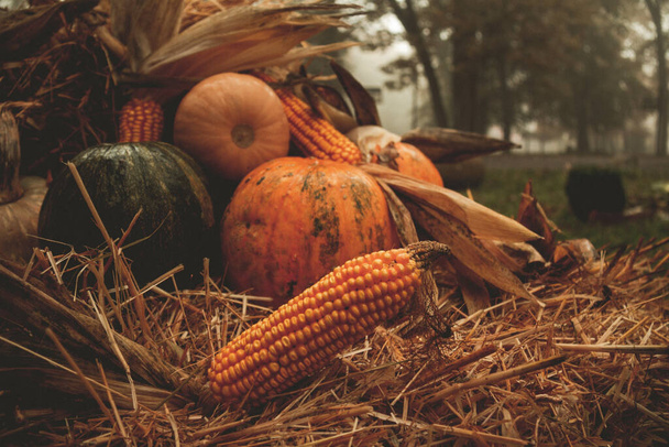 The beautiful shot of an autumn harvest - Foto, afbeelding