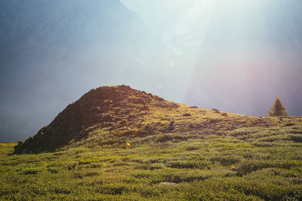 Kolorowy zielony krajobraz z samotnym drzewem w pobliżu skalistego wzgórza na tle gigantycznej ściany górskiej w słońcu. Minimalistyczna słoneczna sceneria z promieniami słońca i rozbłyskiem. Minimalny widok alpejski. Minimalizm malowniczy. - Zdjęcie, obraz