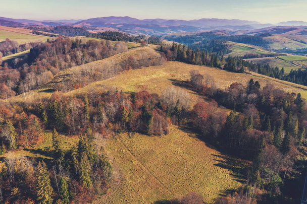 Aerial view of colorful slopes of mountains on a sunny day. View of the mountains in autumn. Beautiful nature landscape. Carpathian mountains. Ukraine - 写真・画像