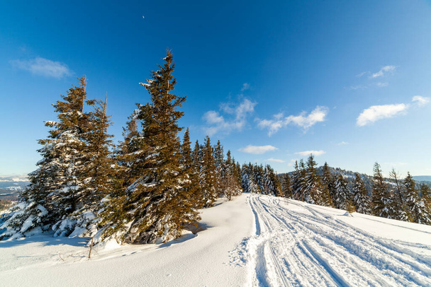 Чудовий зимовий пейзаж у сонячний день. Зимовий пейзаж із засніженими горами під сонцем. Популярне місце прогулянок та подорожей. Зима чудес. Дивовижний природний фон. Карпатські гори. - Фото, зображення