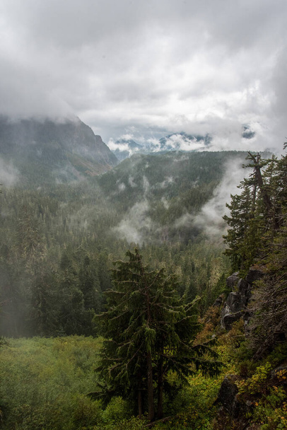 Nádherná horská krajina kolem Národního parku Mount Rainier, USA - Fotografie, Obrázek