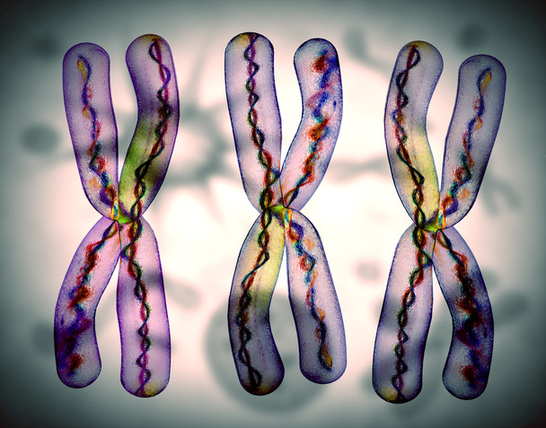 Kromozom x - Fotoğraf, Görsel