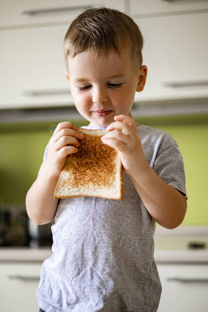 Portrait of baby boy eating fresh bread slice cooking breakfast with fruits and berries at cuisine - 写真・画像