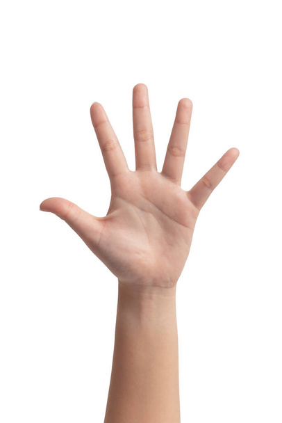 Femme main geste isolé sur fond blanc. - Photo, image