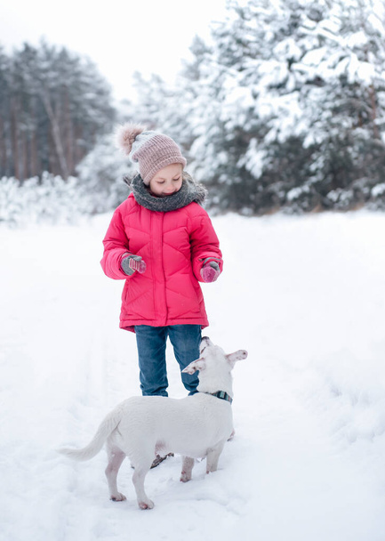 Menina em uma jaqueta brilhante joga na floresta nevada de inverno com seu cão jack russell terrier - Foto, Imagem