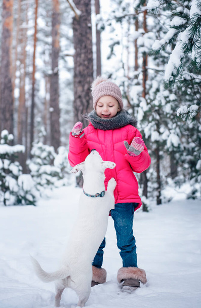 Niña con una chaqueta brillante juega en el bosque nevado de invierno con su perro jack russell terrier - Foto, Imagen