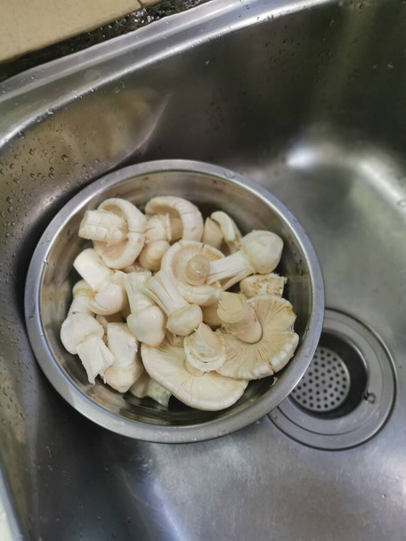 metallic bowl of wash and clean fresh termitomyces tylerianus. - Photo, Image