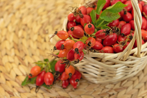Freshly picked rose hips in a basket - Photo, Image