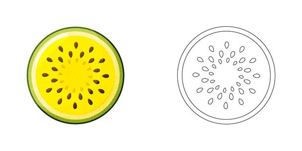 Coloring book page for preschool children with outlines of watermelon slices and a colorful copy of them.  - Vecteur, image