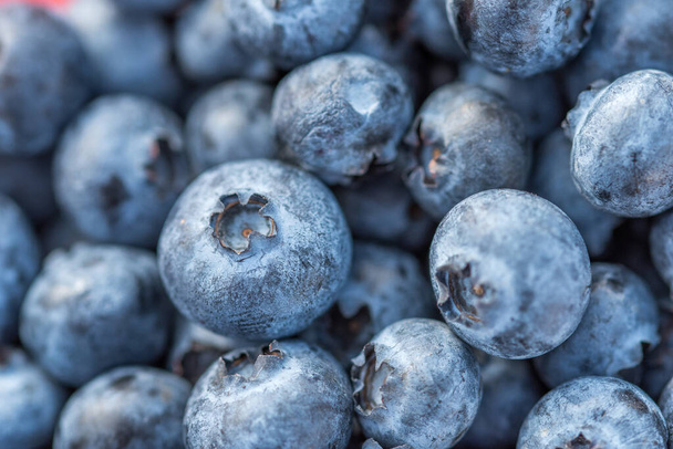 A close-up shot of delicious, healthy, organic blueberries - 写真・画像