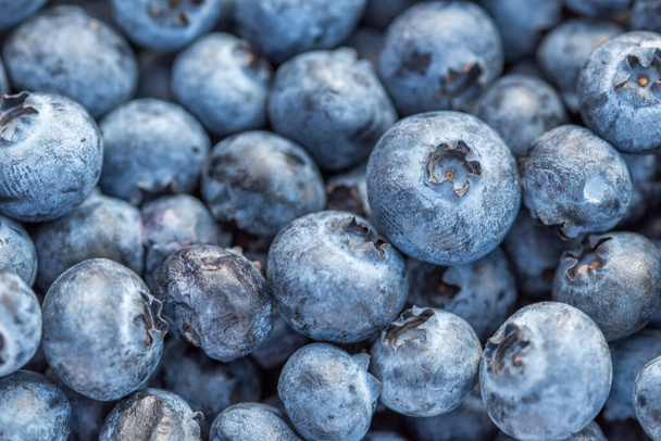 A close-up shot of delicious, healthy, organic blueberries - Fotoğraf, Görsel