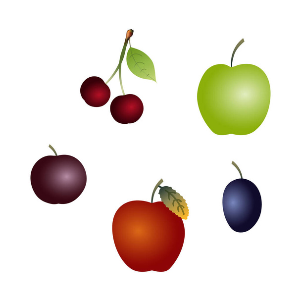 https://cdn.create.vista.com/api/media/small/530486576/stock-vector-set-flat-art-fruit-berries-dark-bright-ruby-cherries-big
