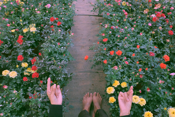 Землероб зверху на полі з голими ногами на землі, в'єтнамська жінка стоїть в саду троянд, який цвіте в барвистій, приємній сцені на фермі тур, да Лат, В'єтнам. - Фото, зображення