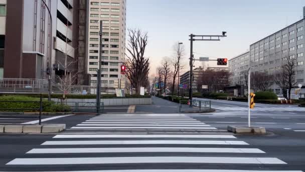 Kasumigaseki au Japon, Paysage de Tokyo - Séquence, vidéo