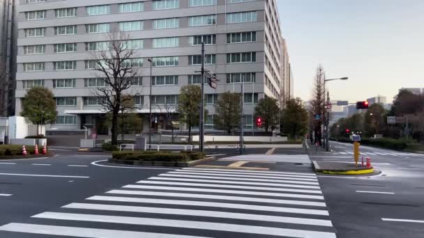 Kasumigaseki au Japon, Paysage de Tokyo - Séquence, vidéo