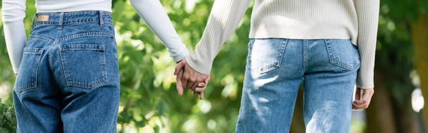back view of lesbian couple holding hands outside, banner - Photo, image