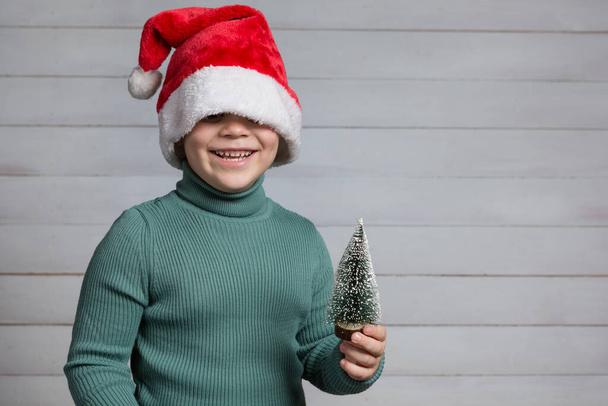 divertente ragazzo in rosso cappello di Babbo Natale ridendo allegramente tenendo un piccolo albero di Natale tra le mani, concetto di Natale, spazio copia - Foto, immagini