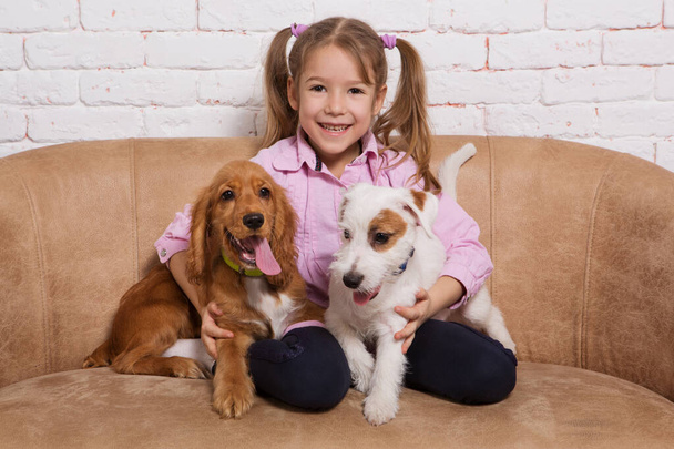 веселая девушка, сидя на диване, обнимает двух щенков, коричневого спаниеля и белого Джека Рассела терьера, на заднем плане, белая кирпичная стена - Фото, изображение