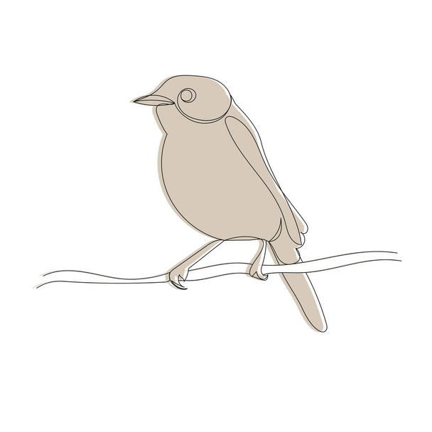 uccello su schizzo ramo disegno, vettore, isolato - Vettoriali, immagini
