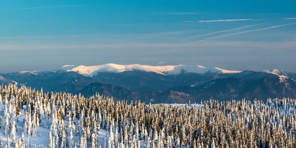 Najwyższa część gór Velka Fatra ze wzgórza Veterne w górach Mala Fatra na Słowacji podczas niesamowitego zimowego dnia - Zdjęcie, obraz