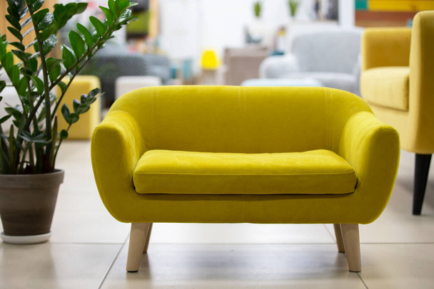 Pieni keltainen sohva puiset jalat. - Valokuva, kuva