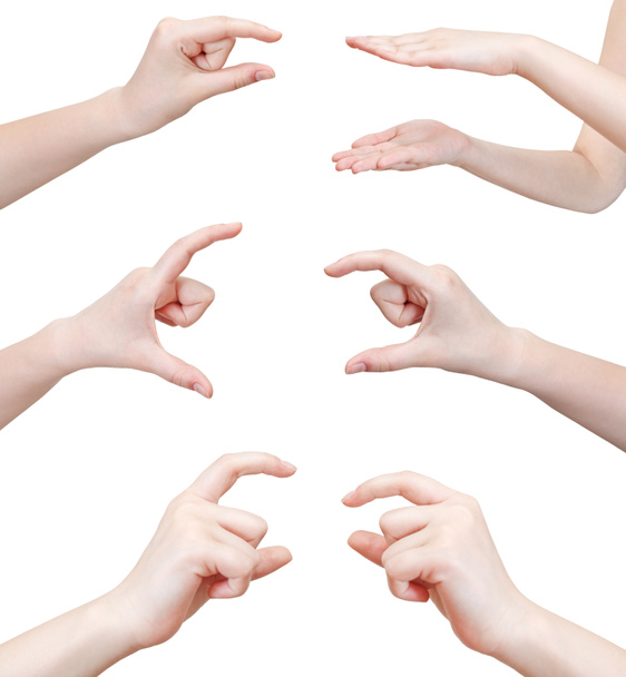 set of hands showing sizes - hand gesture - Photo, Image