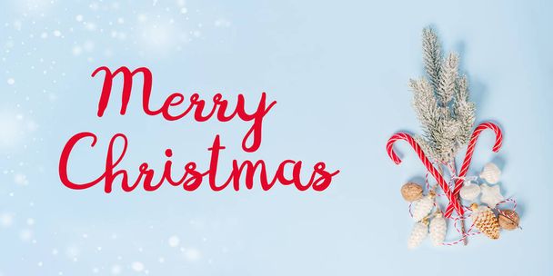 Noel ağacının dalına sahip bir Noel arkaplanı, mavi arka planda şeker kamışı. Metin için yer, üst görünüm - Fotoğraf, Görsel