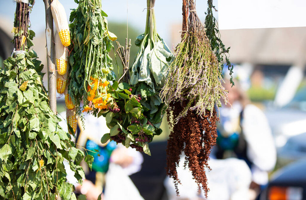 Brooms made of dried herbs and berries hang in the air. - Photo, Image