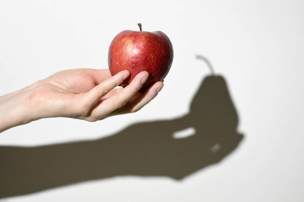 Концепція візуального дисонансу. Apple Fruit and Pear Fruit Shadow  - Фото, зображення