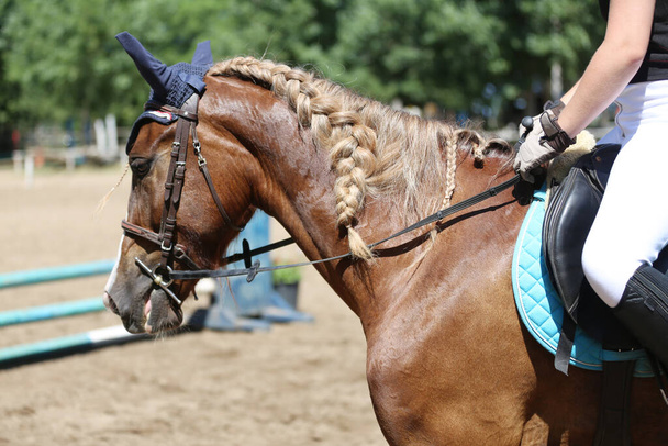知られていない競技者は地面に乗って馬のイベントに乗る。ヘッドはショージャンプ競技中に馬場馬術馬のクローズアップを撮影 - 写真・画像