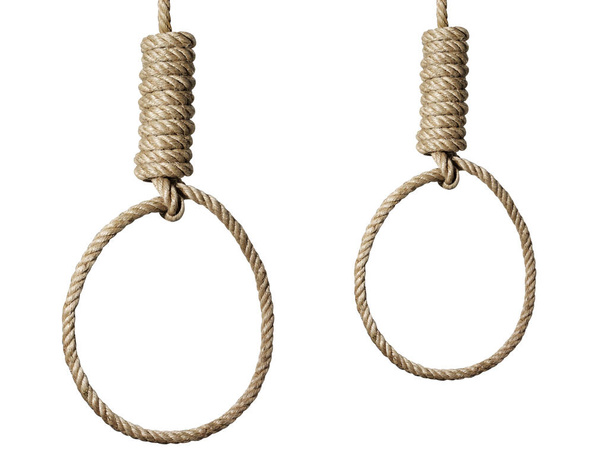 Rope noose with hangman's knot hanging in front of white background - Photo, image