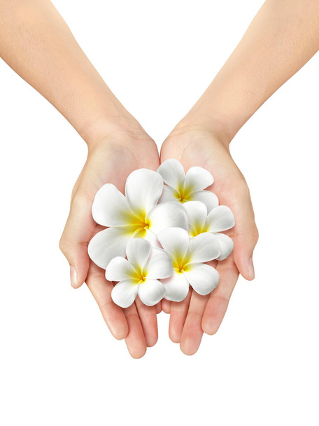 Beautiful woman hand holding a frangipani flower on a white isolated background - Foto, Imagen