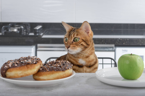 Green apple and donut with chocolate icing and multicolored splashes on the table and a cat. The concept of proper nutrition, comparison of unhealthy and unhealthy food. - Photo, image