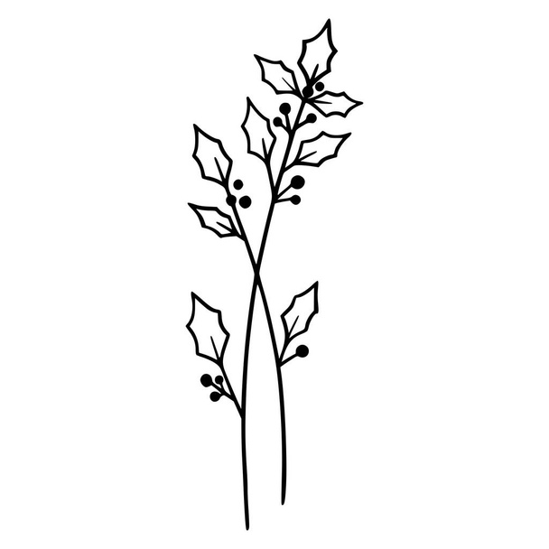  Holly Berry flowers on white background. Hand-drawn illustration of a winter flower. Drawing, line art, ink, vector. - Vetor, Imagem