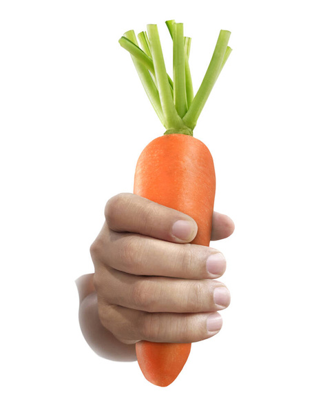 Hand holding ripe carrots. isolated on a white background - Photo, Image