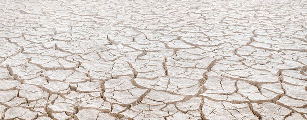 Cracked white clay on dried lakebed, natural pattern with diminishing perspective - Photo, Image