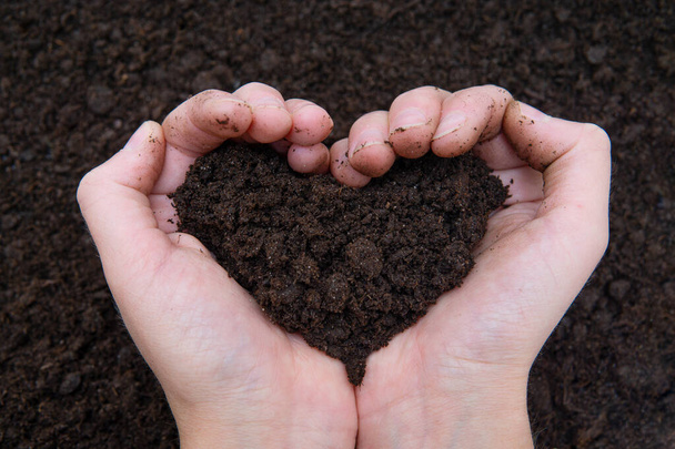 Female hands holding a heart shaped pile of soil. Earth day concept. - Foto, Imagem